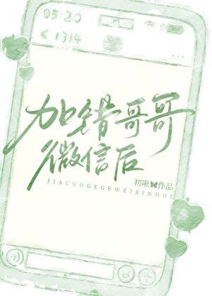 加错哥哥微信后