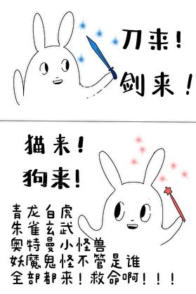 小寡妇招夫记无防盗章